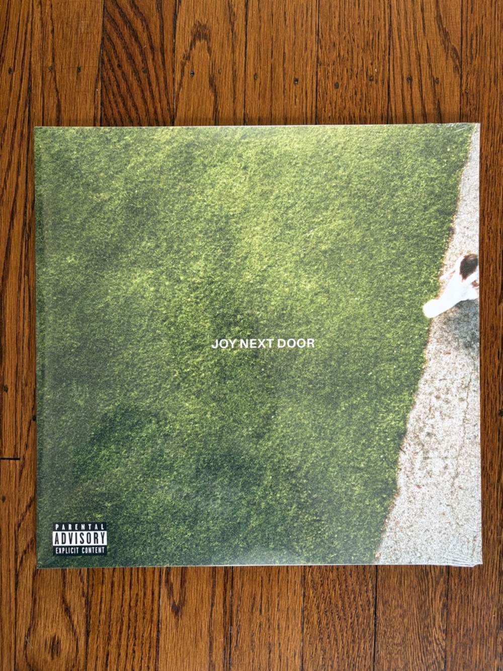 The Maine Joy Next Door Blue White Splatter Vinyl LP